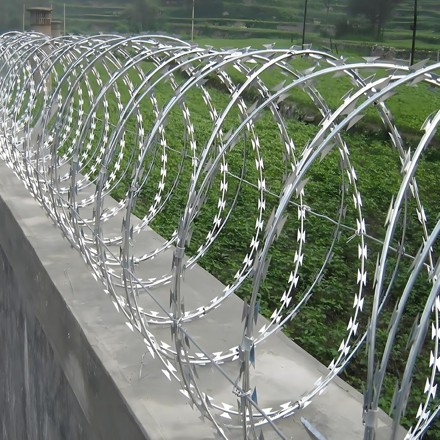 Razor wire and concertina coil for high-security boundary walls in Pakistan