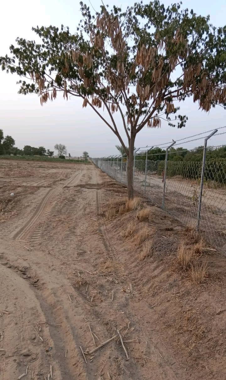 Bahawalnagar 400 kanal agri land and garden fencing supporting photo