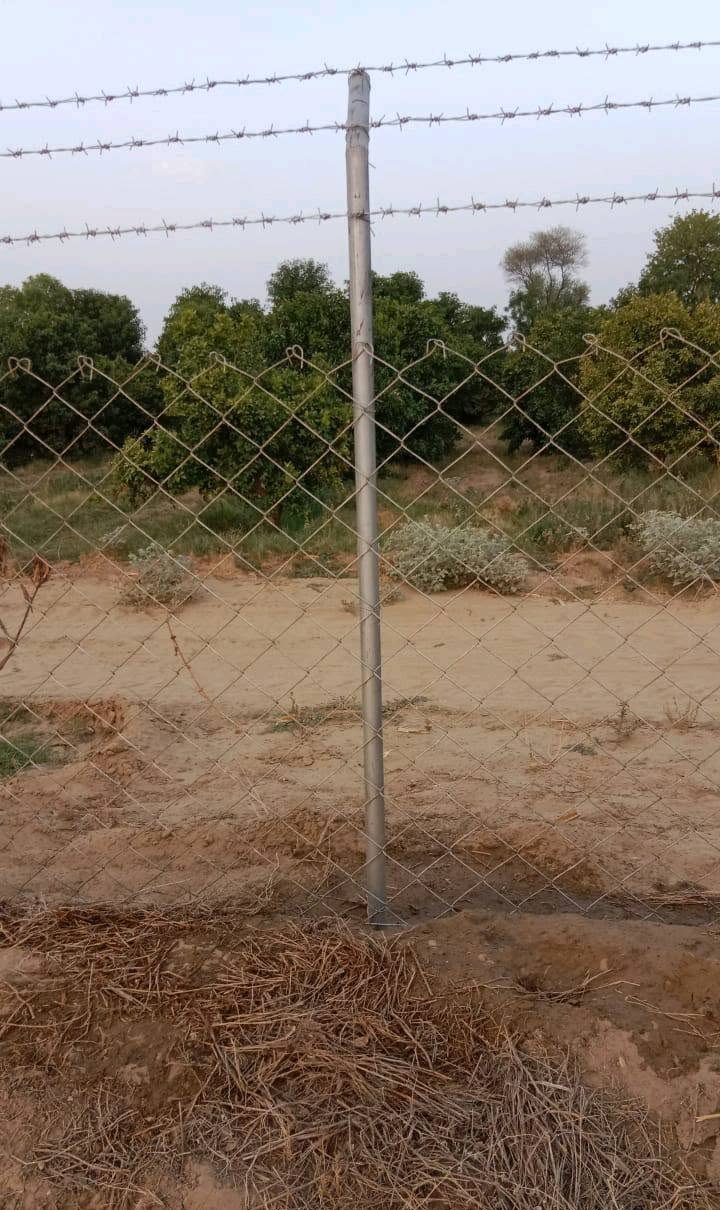 Bahawalnagar 400 kanal agri land and garden fencing supporting photo
