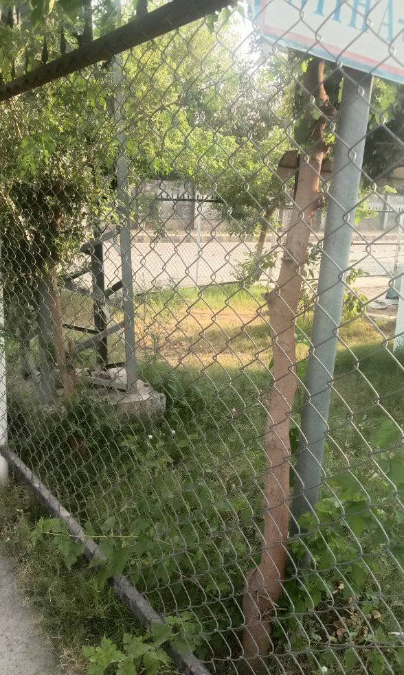 Talhar Margalla Hills farmhouse fencing main project photo
