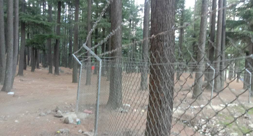 Talhar Margalla Hills farmhouse fencing supporting photo