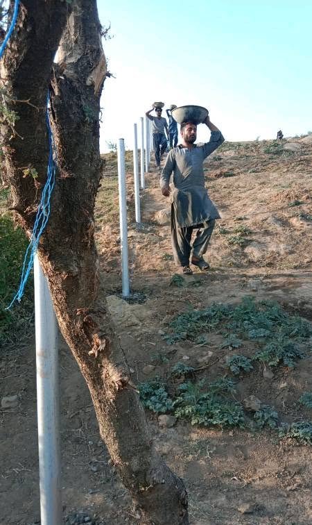 Kahuta farmhouse fencing project supporting photo